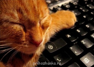 А у вас сейчас какое настроение? - 1300619536_1300560352_1300397374_13003082.jpg