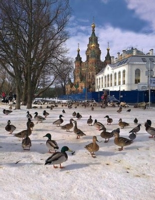 Православный Цветник - getImage.jpg