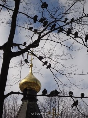 Православный Цветник - getImage (2).jpg