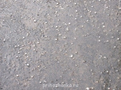 Поговорим о погоде - 008.JPG