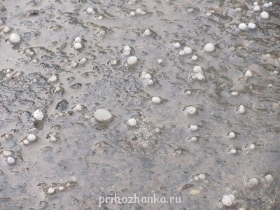 Поговорим о погоде - 009.JPG