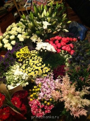 Чем сегодня занимались? - фотография5.JPG