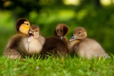 Аватарки. Наши интернет-лица - 6I-m-LvDwr0.jpg