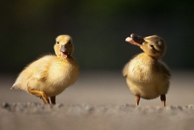 Аватарки. Наши интернет-лица - 9uhVdW4uTxE.jpg