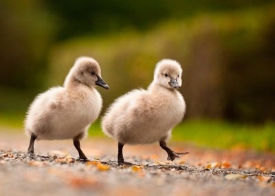 Аватарки. Наши интернет-лица - gzht9N9jTtY.jpg