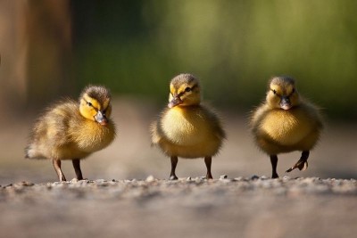 Аватарки. Наши интернет-лица - LJgdcFLCDfY.jpg