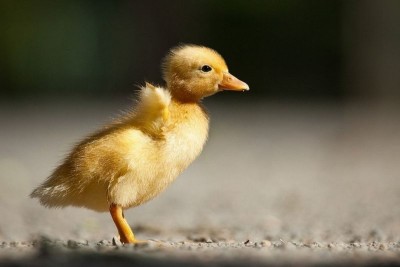 Аватарки. Наши интернет-лица - TjJgIDjcGFI.jpg