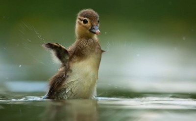 Аватарки. Наши интернет-лица - mz4YIvOwF-I.jpg