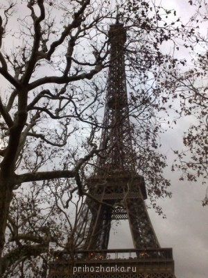 Прекрасная осень  - 8.jpg