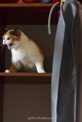 Кого из животных вы содержите? Фото приветствуется. - IMG_6327.JPG