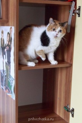 Кого из животных вы содержите? Фото приветствуется. - IMG_6357.JPG