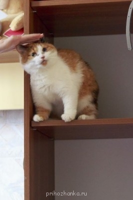 Кого из животных вы содержите? Фото приветствуется. - IMG_6331.JPG