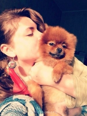 Кого из животных вы содержите? Фото приветствуется. - LkvpsG3H238.jpg