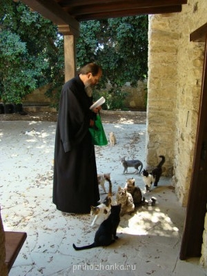 Православный Цветник - 15ц.jpg