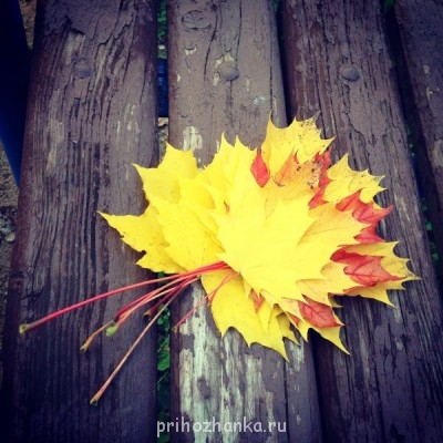 Прекрасная осень  - image.jpg