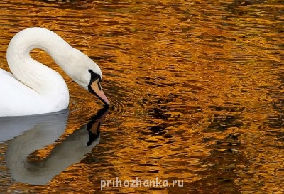 Аватарки. Наши интернет-лица - 00s.jpg