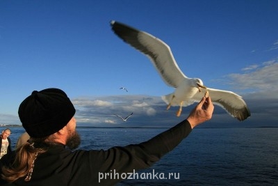 Православный Цветник - э.jpg