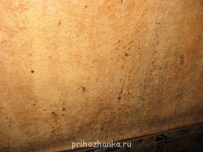 Пароочиститель - 001.JPG