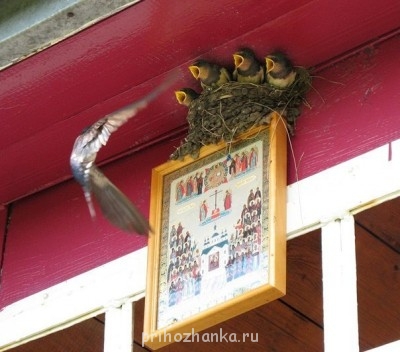 Православный Цветник - JrysJaaeLDc.jpg