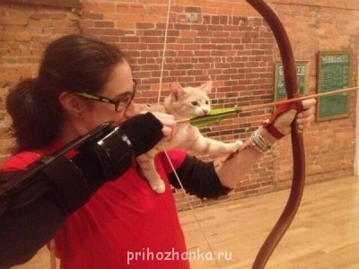 Cмешное из жизни животных. Фото и видео из интернета. - podborka-kartinok-26.jpg