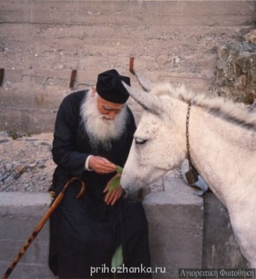 Православный Цветник - getImage (21).jpg