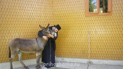 Православный Цветник - getImage (39).jpg