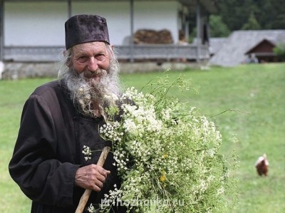 Православный Цветник - getImage (41).jpg