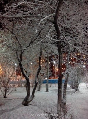 Поговорим о погоде - IMG_20131217_202639.jpg