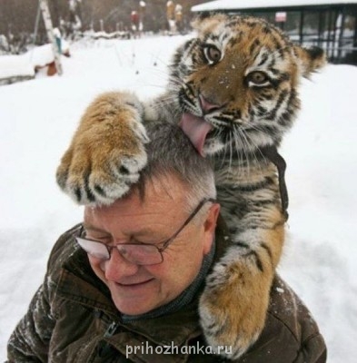 Cмешное из жизни животных. Фото и видео из интернета. - 7sn7tua_9Sc.jpg