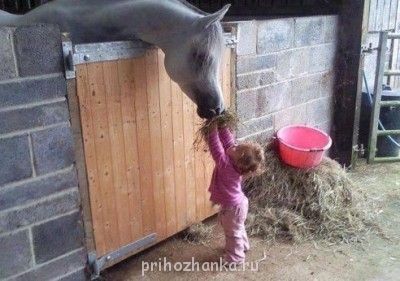 не забывай обо мне, принца потом привезешь)))