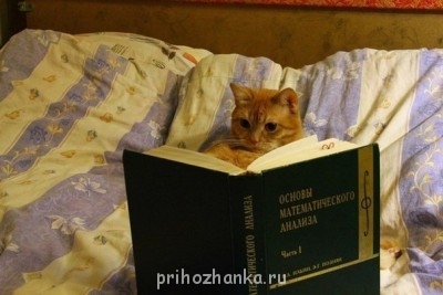 Cмешное из жизни животных. Фото и видео из интернета. - fORs2QYpk9Q.jpg