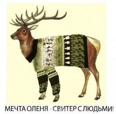 Cмешное из жизни животных. Фото и видео из интернета. - tlxqjENJhxY.jpg