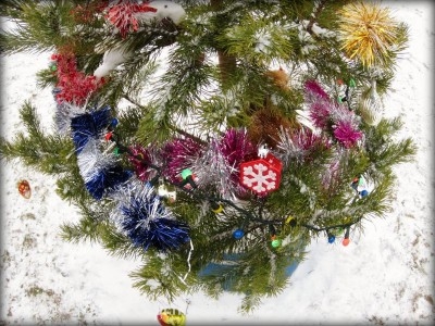 Чем сегодня занимались? - IMG_1744.JPG