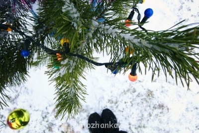 Чем сегодня занимались? - IMG_1792.JPG