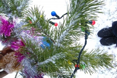 Чем сегодня занимались? - IMG_1793.JPG