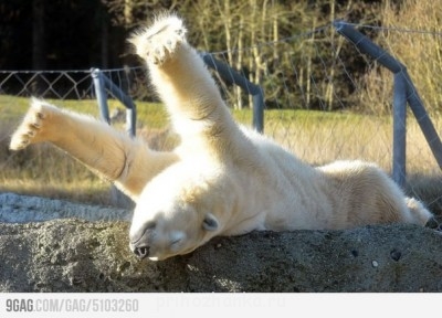 И, обязательно, вот так!