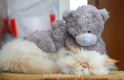 А как же неспешно проснуться...