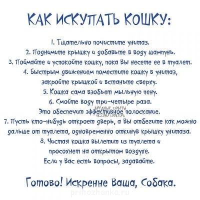 Cмешное из жизни животных. Фото и видео из интернета. - 9E0Oj1sLqhc.jpg