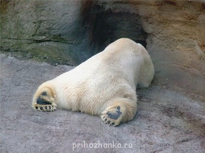 А у вас сейчас какое настроение? - надоело всё1.jpg