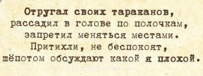 Cмешное из жизни животных. Фото и видео из интернета. - udHywK_PTnA.jpg