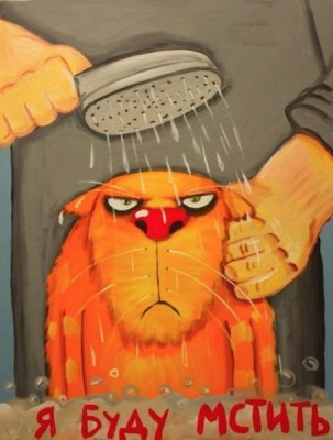 Cмешное из жизни животных. Фото и видео из интернета. - GjR4Kljd8dc.jpg