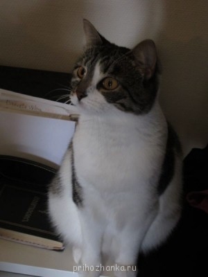 Кого из животных вы содержите? Фото приветствуется. - IMG_1401.JPG