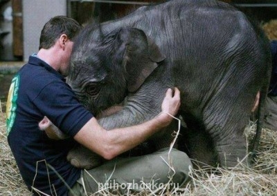 просто умилило