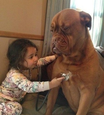 Cмешное из жизни животных. Фото и видео из интернета. - j6uC-dAr3fw.jpg