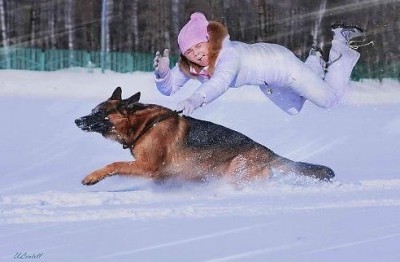 Cмешное из жизни животных. Фото и видео из интернета. - ___14eIyxno.jpg