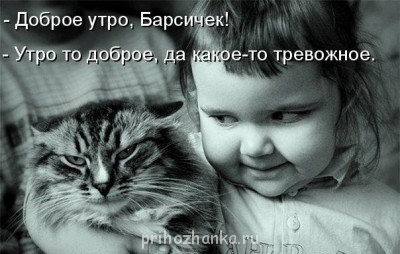 Cмешное из жизни животных. Фото и видео из интернета. - 0_6c06a_806a88ef_XL.jpg