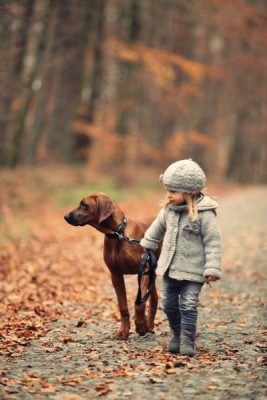 Cмешное из жизни животных. Фото и видео из интернета. - EXAmNuU59pA.jpg