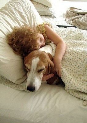 Cмешное из жизни животных. Фото и видео из интернета. - mqnm7d7-iM4.jpg