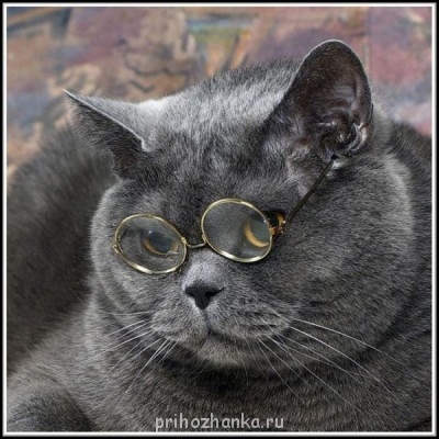 Аватарки. Наши интернет-лица - Pyzg0PPMQao.jpg