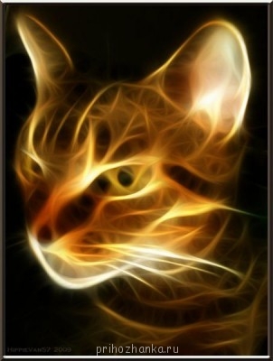 Аватарки. Наши интернет-лица - огонь-кот.jpg